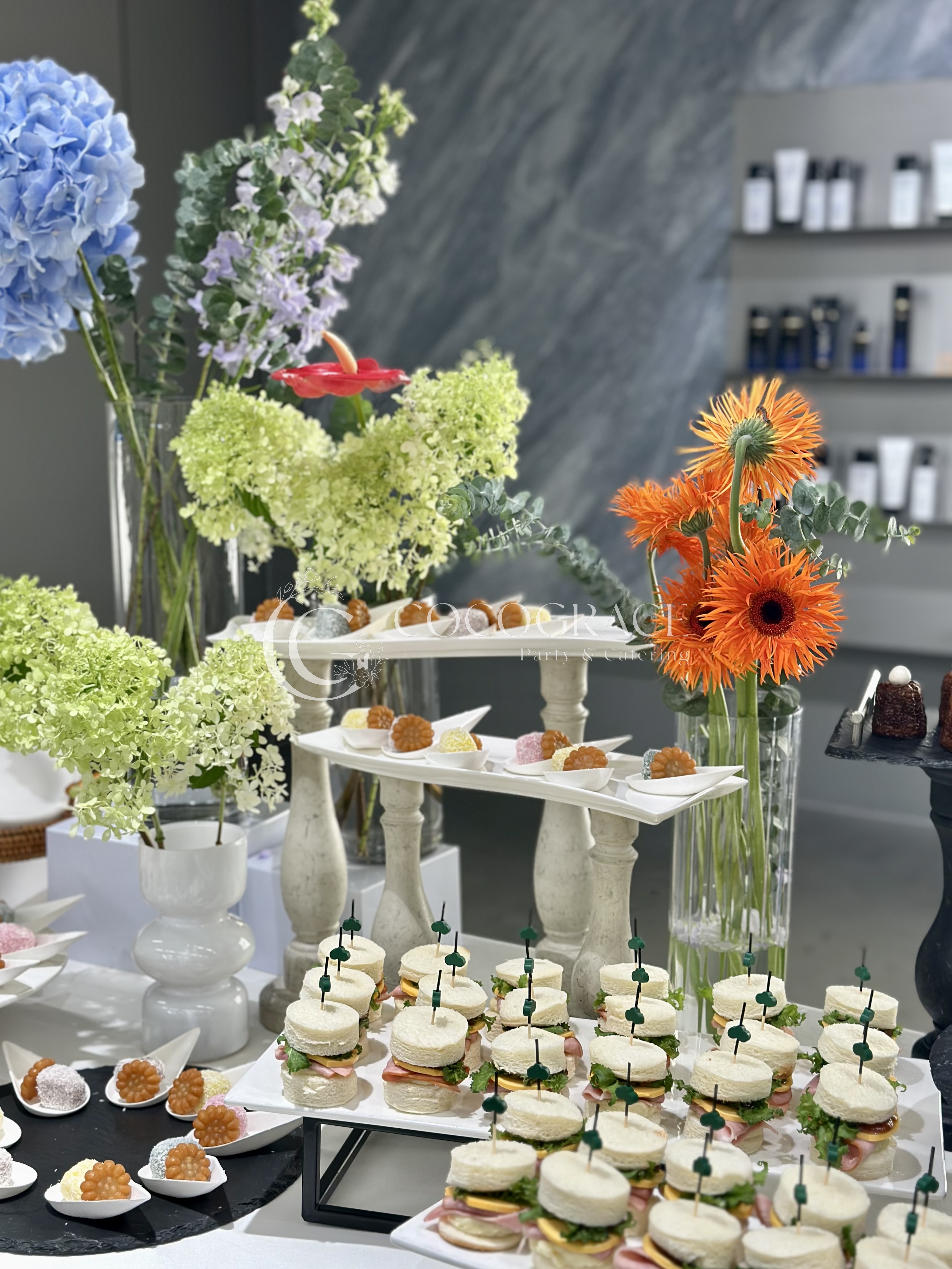 VIP 설명회 갤러리 12