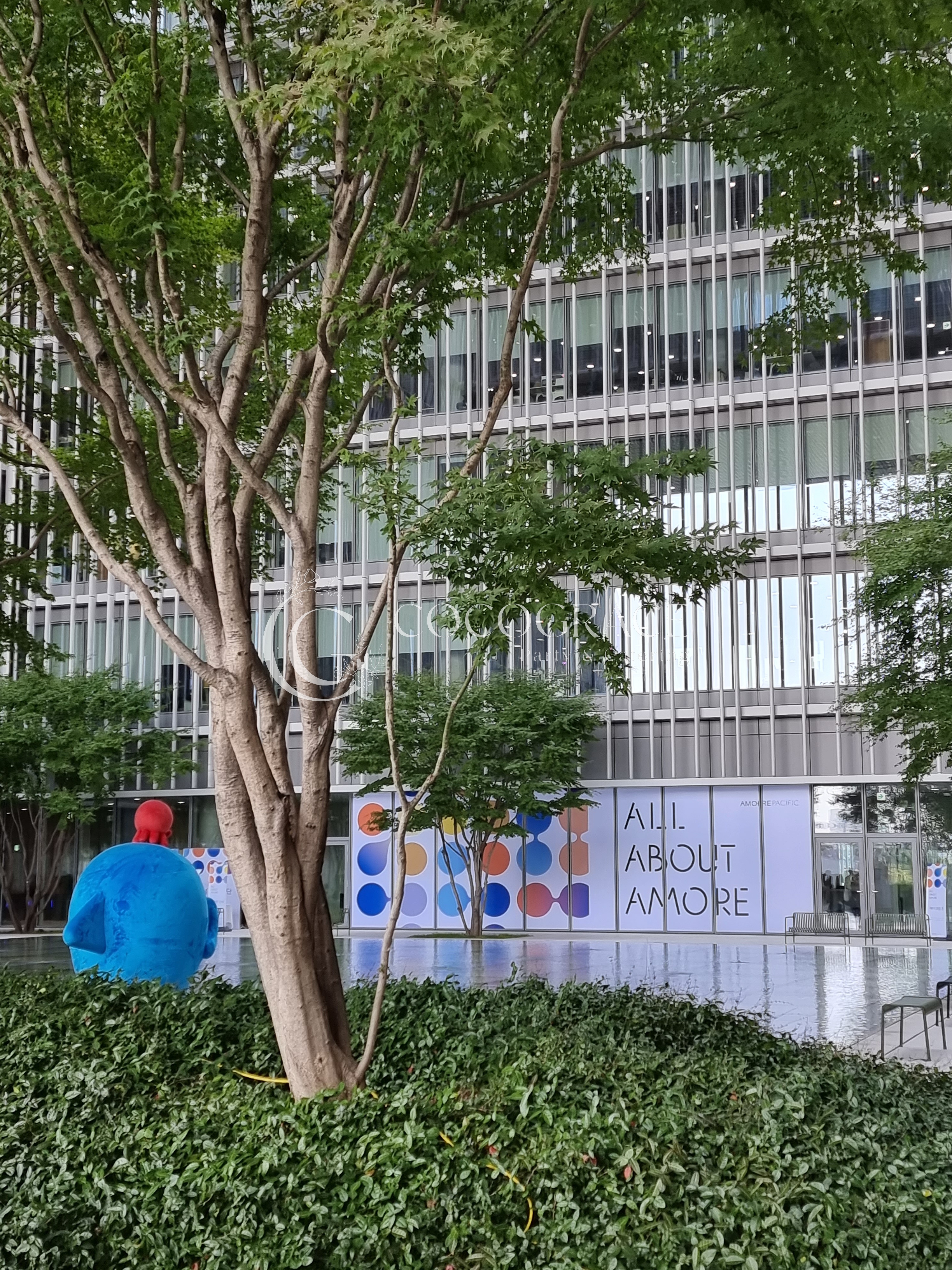 어바웃아모레 행사 갤러리 7